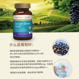 Австралийские травы золота и лайкана золота виноградных семя