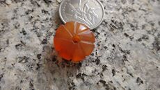 Украшения на шею 老玛瑙瓜菱珠子一个（3）