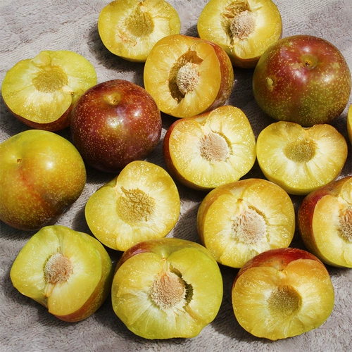 Spot Sichuan Lizi Fresh Fruit 5 фунтов беременных женщин у беременных в сезон всей коробки с костяным мусором Lizi Half Red Red Li Qing Crispy