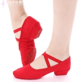 Бесплатная доставка Danshig Ballet Dance Shoes Tanc