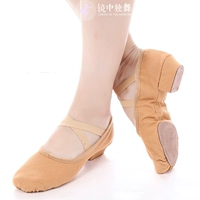 Бесплатная доставка Danshig Ballet Dance Shoes Tanc