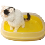 Pet Cat Sand Pot -это беспрепятственные полузащитные полузащиты