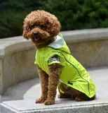 Бесплатная доставка собака Пейн -плащ для питомца весна и летняя одежда, водонепроницаемый, дождь, снежный и снежный -на два фута.