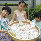Новогодние сахарная гихуа суп пирог питание начинку Ningbo Специальное оборудование для сладкого сладкого цвета оборудование 15 г бесплатная почта