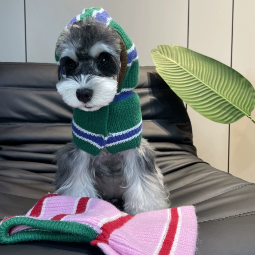 СОБАКА ПЕЧАТКА ШАЛИ В ЗИМА