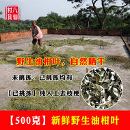 Dầu hoang dã phơi nắng 18 tuổi, gối lá màu cam chứa đầy số lượng lớn, dầu khuynh diệp, trái cây ngọt, gia súc, lá ngọt, 5 kg