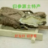 野 1 кот, десять фунтов, десять фунтов сдержанного серы