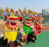 Dragon Dragon Dragon Road Полное соревнование дракон -дракон -дракон оксфордский ночной свет, световой дракон, дракон, дюймовый девять -дракон дракона, булонг