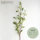 【Cuifeng guo】