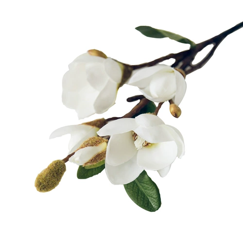Meidi Snow Magnolia Одиночный цветочный цветочный материал шелк цветочный цветок моделирование цветы цветочные спальни гостиная кофейня Декоративные цветы