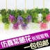 Mô phỏng Wisteria Hoa Bean Bean Chuỗi Violet Nhựa Silk Hoa Trang trí Vine Vine Trần Hoa Wedding Fake Hoa Mây - Hoa nhân tạo / Cây / Trái cây