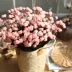 Mô phỏng hoa hồng nhỏ trang trí nhà phòng khách bàn cà phê Cây PE đơn hoa khô lụa hoa giả trang trí hoa - Trang trí nội thất