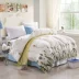 Dày mùa đông quilt được cored bởi mùa xuân và mùa thu chăn quilt đôi sinh viên duy nhất mùa đông quilt đặc biệt giải phóng mặt bằng