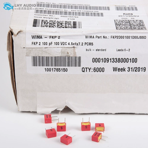 100pf 100v серии FKP2 серии WIMA 101/N1/100P Оригинальные новые новые немецкие медные ноги