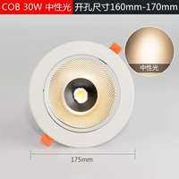 30 Вт [Нейтральный свет 4000K] Покачка