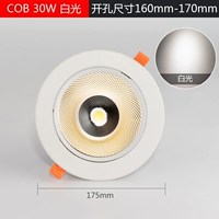 30 Вт [Белый свет 6000K] Покачка