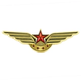Подлинный CAAC China Civil Aviation Airlines Airlines Pilot Badge Fall Saster Boys Captain Grand главы Wings Memorial