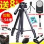 Chân máy ảnh DSLR cho 70D Máy ảnh DSLR Canon 5D2 5D3 750D 760D 80D Đế di động - Phụ kiện máy ảnh DSLR / đơn mua tripod