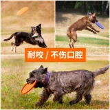 Фрисби, интерактивная игрушка, подходит для подростков