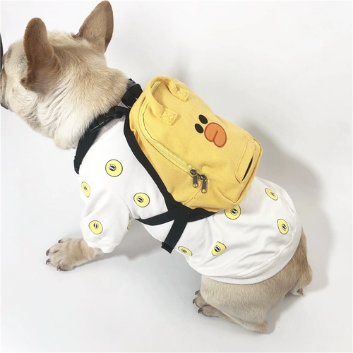 Рюкзак, ранец для выхода на улицу