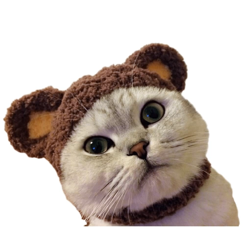 Кошачья медведь голова кошка голова домашних животных домашних животных украшения собака собака не может упасть