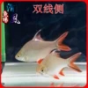 Товары от 刁晓洁00