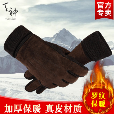 Перчатки 天神秋冬季男士真皮手套保暖全指女士加厚骑行手套开车通用手套