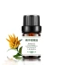 粤 một nhà sản xuất tinh dầu bergamot tinh dầu chính hãng 5ml dầu thơm dưỡng ẩm cho da - Tinh dầu điều trị