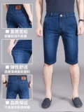 Apple, джинсовые тонкие эластичные штаны, шорты, для мужчины среднего возраста, свободный прямой крой