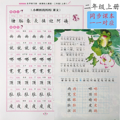 Учащиеся начальной школы 1, два, три, три, четыре, оценки и буклеты первых и нижних классов.