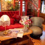 Ткань, ретро дизайнерский диван, французский стиль, тигр