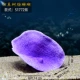 Светло -серый S1772 Purple