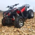 Big Bull ATV bốn bánh off-road 250cc bốn bánh ổ trục tất cả các địa hình leo núi người lớn đôi xe máy ATV