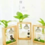 Sáng tạo thủy canh xanh củ cải máy tính để bàn hoạt hình trang trí bàn trang trí văn học bình Tanabata Ngày sinh nhật quà tặng - Vase / Bồn hoa & Kệ chậu nhựa trồng lan