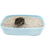 Моча хомяка снабжает песчаным туалетом летняя подушка деревянная щепа небольшая моча золото шелковое медведь охлаждающая подушка