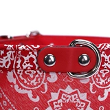 Шарф, ремень, пряжка, колокольчик, шейный платок, аксессуар, галстук, домашний питомец