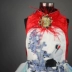 Aining ban đầu đẹp như tranh vẽ hạc phong cách Trung Quốc tấn công cuộc thi màu sắc trang phục tùy chỉnh - Váy trẻ em