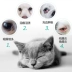Đài Loan Mingmei thuốc nhỏ mắt mèo giọt thú cưng viêm kết mạc mèo nước mắt nước mắt bệnh viện thú cưng - Cat / Dog Beauty & Cleaning Supplies lược chải lông mèo rụng Cat / Dog Beauty & Cleaning Supplies