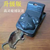 Мыши, угрожающая мышью мыши 謇 罅   髯 髯 ダ ダ 笮 笮 笮 老 老 老 惯 惯 惯 老 惯 老 老 老 老