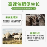 Быки и овец, жир, жир, говяжья овец и удобрение желудка.