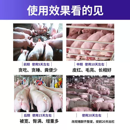 High -copper 92 0 Штормовые удобрения увеличивают вес.