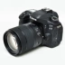 Máy ảnh kỹ thuật số SLR chuyên nghiệp Canon Canon EOS 80D 18-135 18-200mm chuyên nghiệp