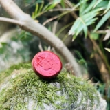 Генг Цин С. и Держ Экономический Институт Культурной Институт Далле Лотос Мастер Дома Маджья Лизао Статуя