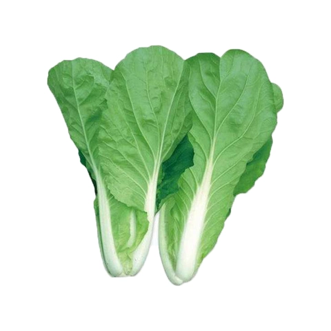 Four Seasons Green Sirdles указывает семена Xiaoba Cai/Four Seasons Green Sircori Capbag