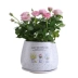Bình gốm châu Âu gốm sứ đề can xanh thì hổ hổ Piran anthurium chậu hoa có lỗ - Vase / Bồn hoa & Kệ Vase / Bồn hoa & Kệ