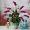 [Đặc biệt hàng ngày] Bướm phong lan nghệ thuật trong chậu Mô phỏng hoa khô Đặt trang trí hoa giả Vườn phòng khách Bàn ăn - Hoa nhân tạo / Cây / Trái cây