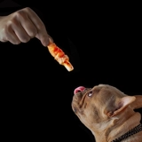 尾巴先生 Сыр куриный катящий уток Мясо чистое зубы модель Bomei Teddy Corgi Fighting Dog закуски