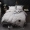 Bộ đồ giường cotton cotton bốn mảnh kiểu công chúa ren hoa sen ren châu Âu màu đơn giản - Bộ đồ giường bốn mảnh