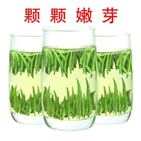 Чай Синь Ян Мао Цзян, зеленый чай, чай «Горное облако», коллекция 2023