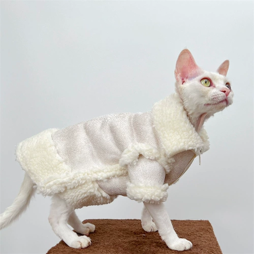 Восемь -летняя магазин шесть размеров безволосочной одежды для кошачьего сафакса в зимней сгущенной коже оленя кожа.